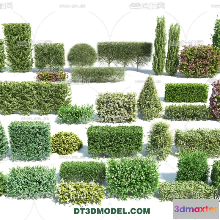 1238488 - PLANTS - BUSH - VRAY  CORONA - 3D MODEL - 368