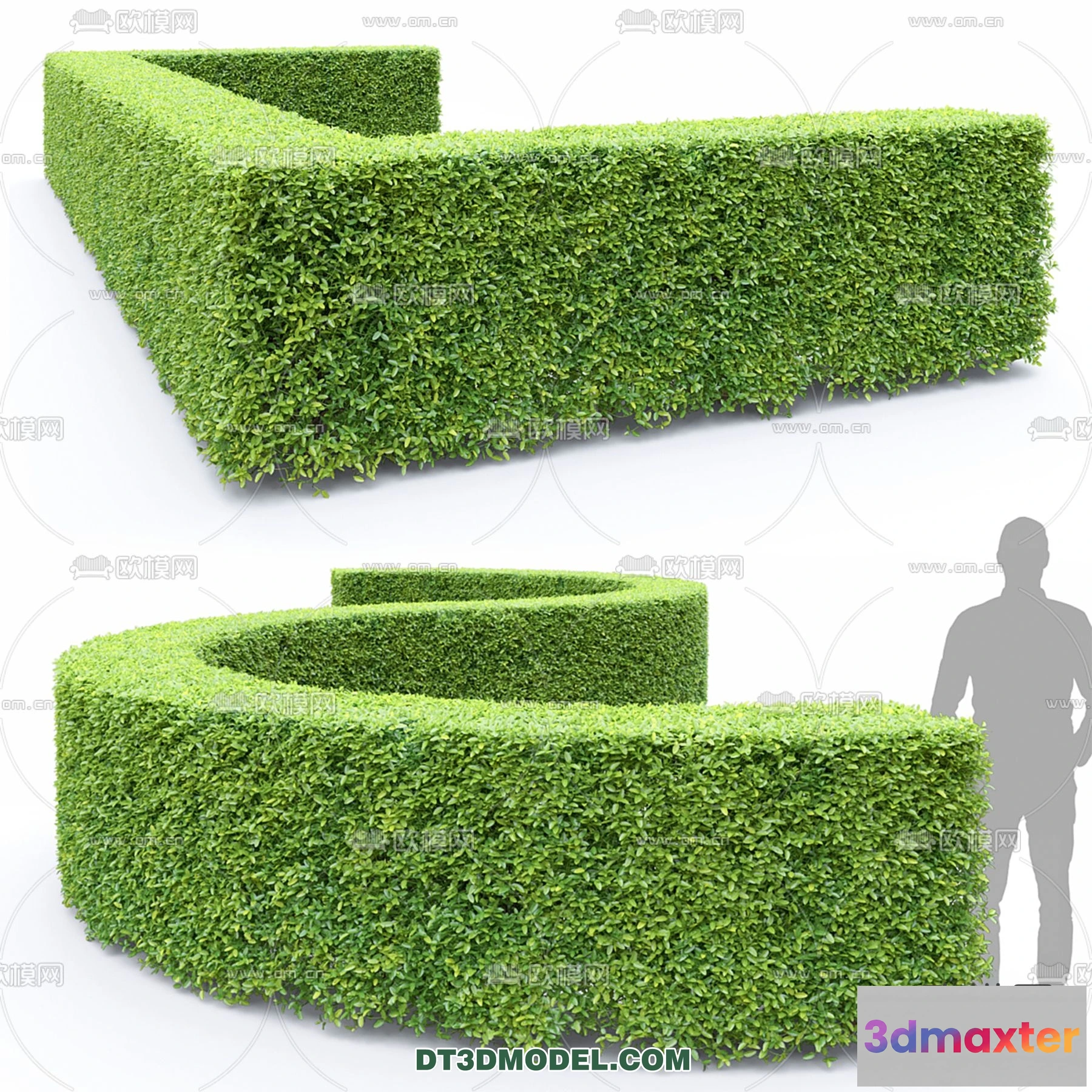 1238492 - PLANTS - BUSH - VRAY  CORONA - 3D MODEL - 370