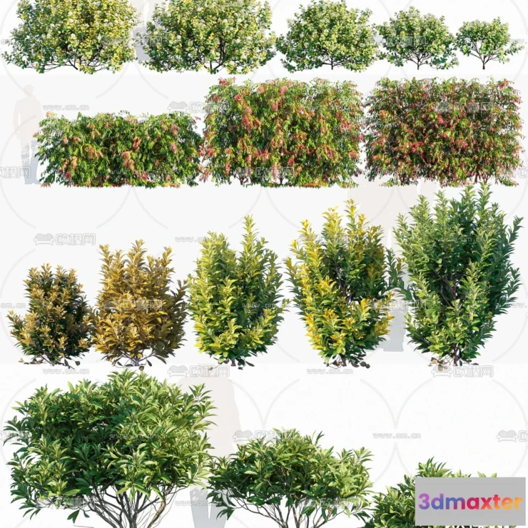 1238494 - PLANTS - BUSH - CORONA - 3D MODEL - 371