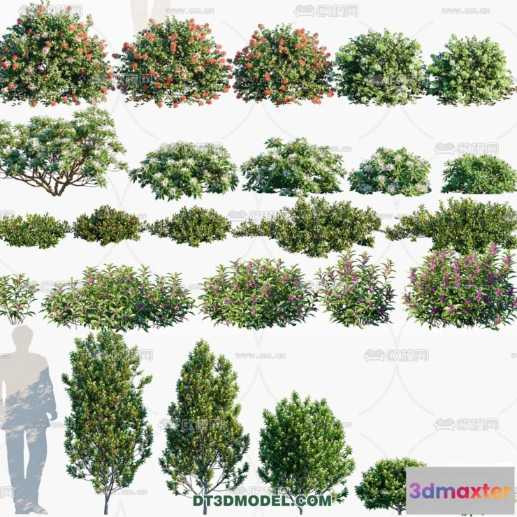 1238496 - PLANTS - BUSH - CORONA - 3D MODEL - 372