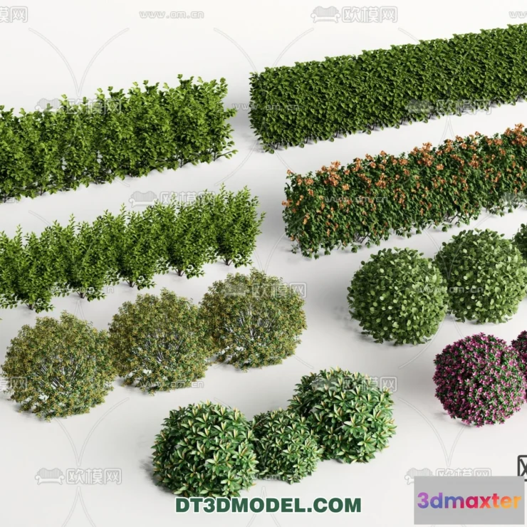 1238502 - PLANTS - BUSH - VRAY  CORONA - 3D MODEL - 375