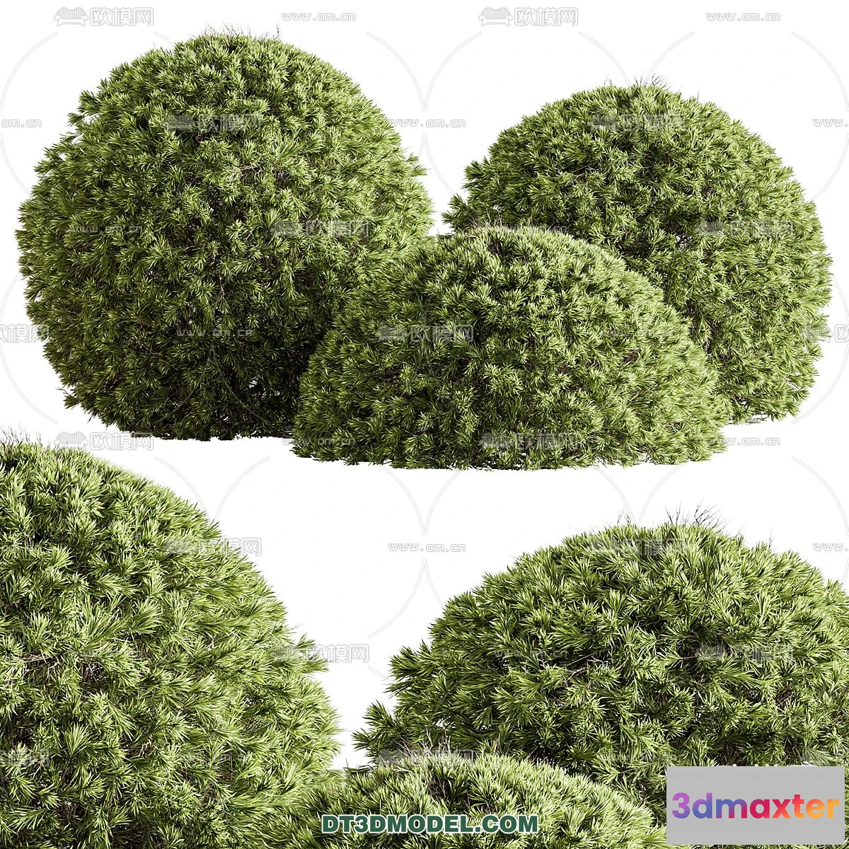 1238506 - PLANTS - BUSH - CORONA - 3D MODEL - 377