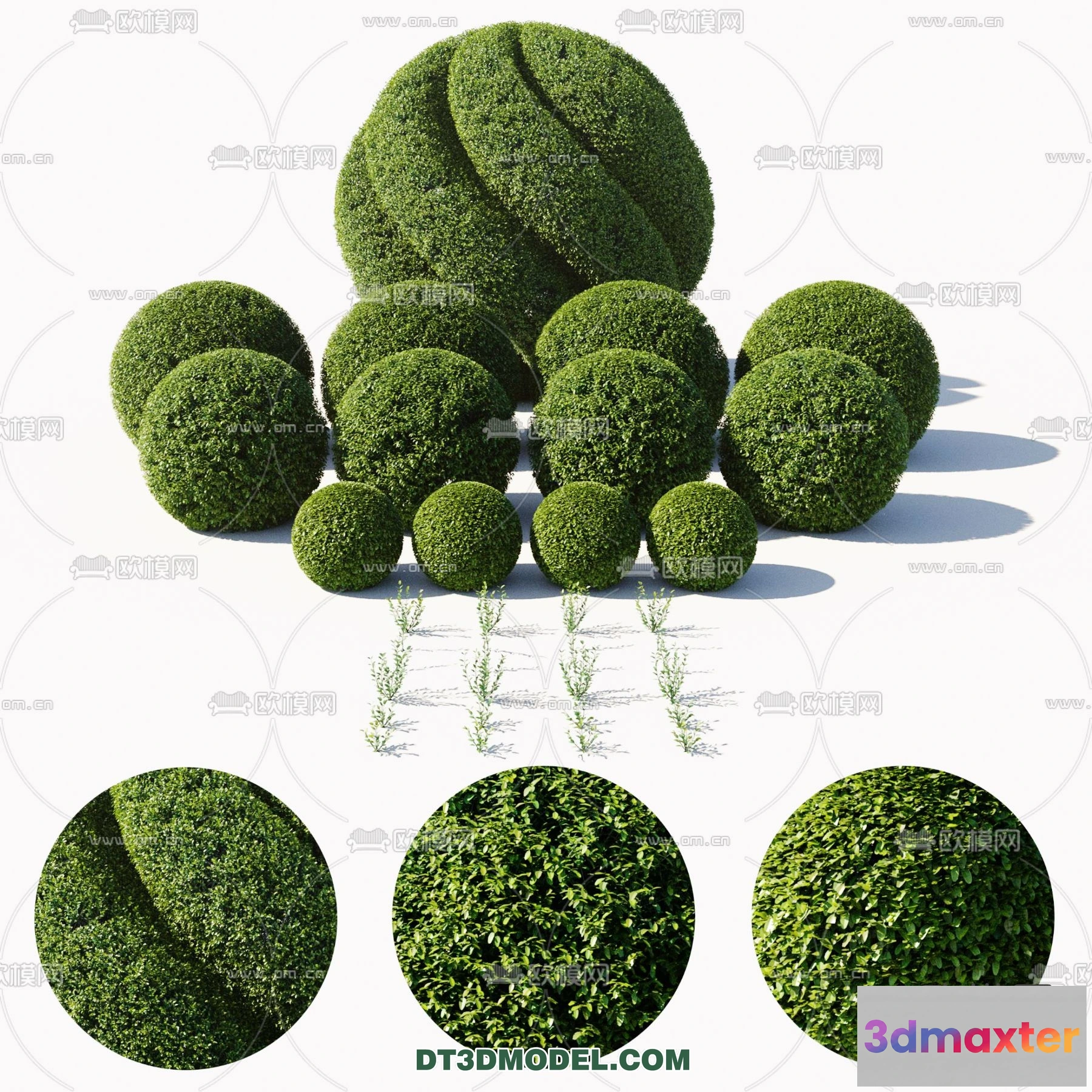 1238510 - PLANTS - BUSH - CORONA - 3D MODEL - 379