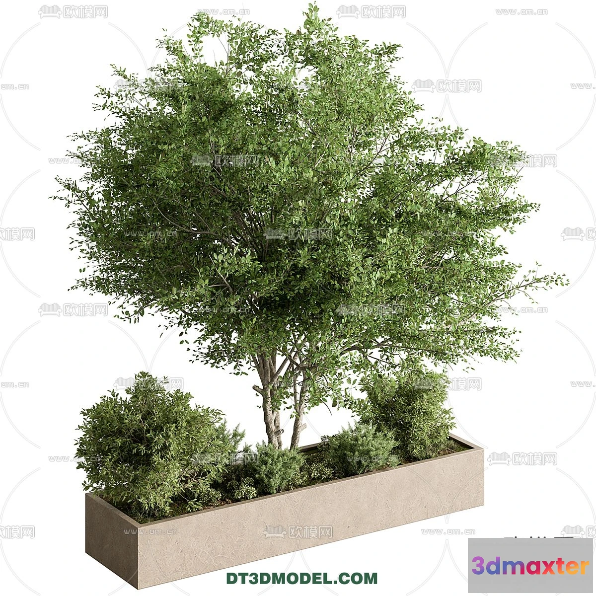 1238522 - PLANTS - BUSH - CORONA - 3D MODEL - 385