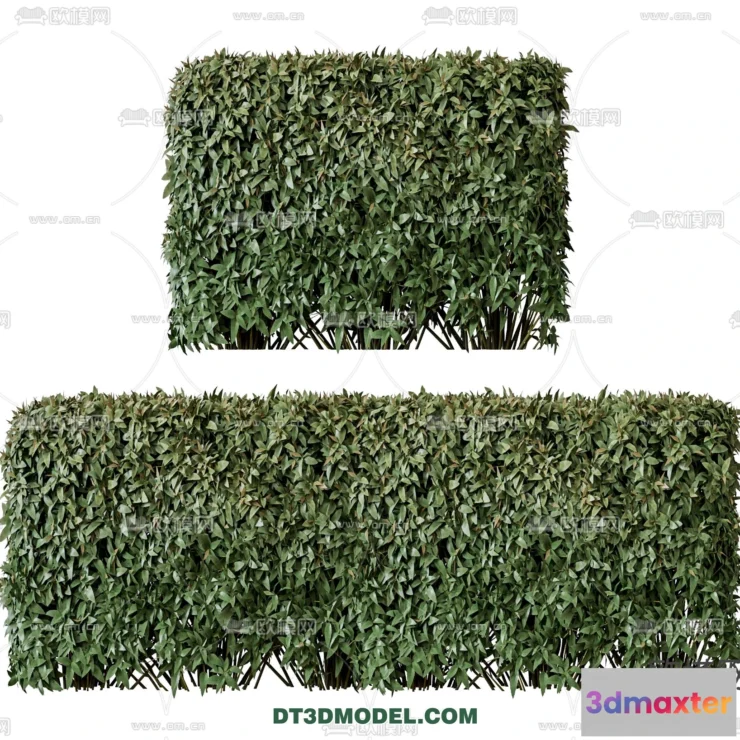 1238524 - PLANTS - BUSH - VRAY  CORONA - 3D MODEL - 386