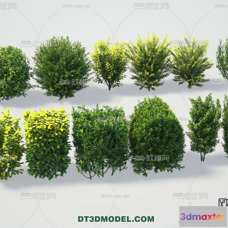 1238530 - PLANTS - BUSH - VRAY  CORONA - 3D MODEL - 389