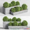 1238532 - PLANTS - BUSH - VRAY  CORONA - 3D MODEL - 390