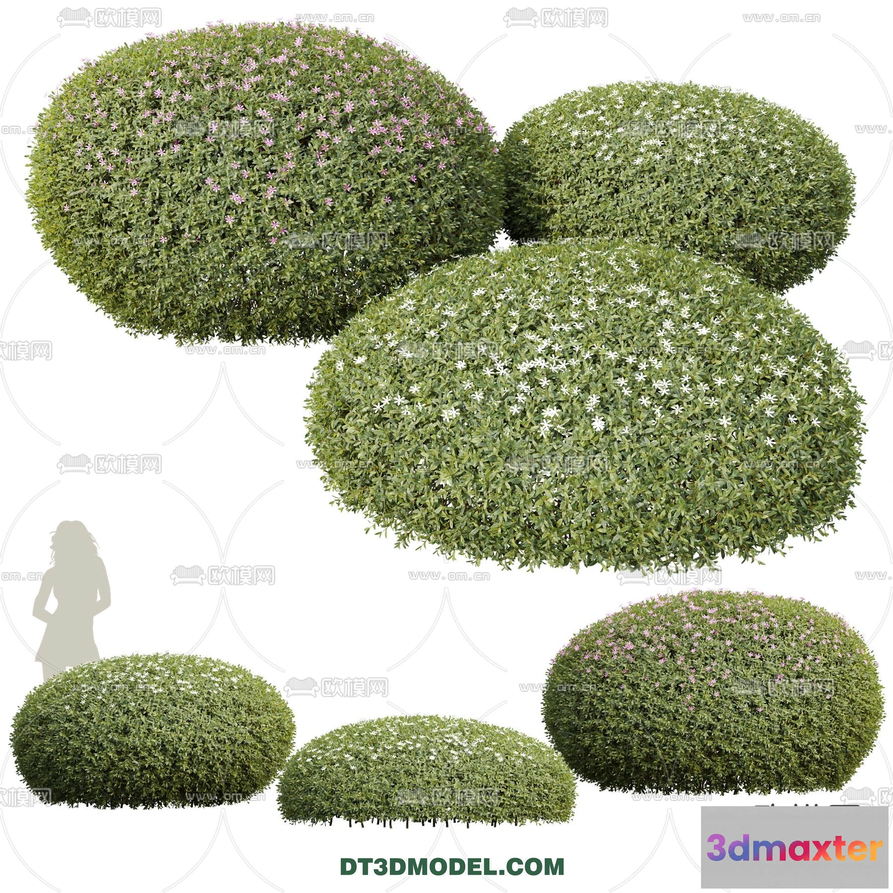 1238536 - PLANTS - BUSH - VRAY  CORONA - 3D MODEL - 392