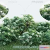 1238538 - PLANTS - BUSH - VRAY  CORONA - 3D MODEL - 393