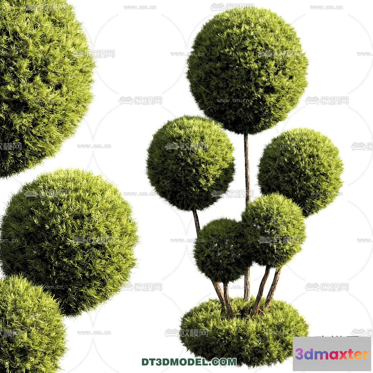 1238542 - PLANTS - BUSH - CORONA - 3D MODEL - 395