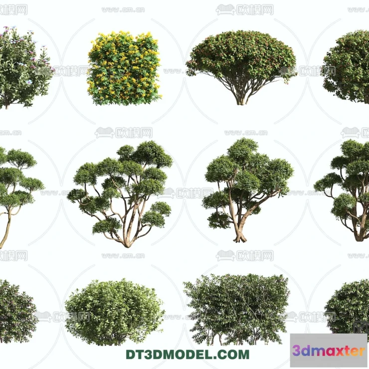 1238546 - PLANTS - BUSH - VRAY  CORONA - 3D MODEL - 397