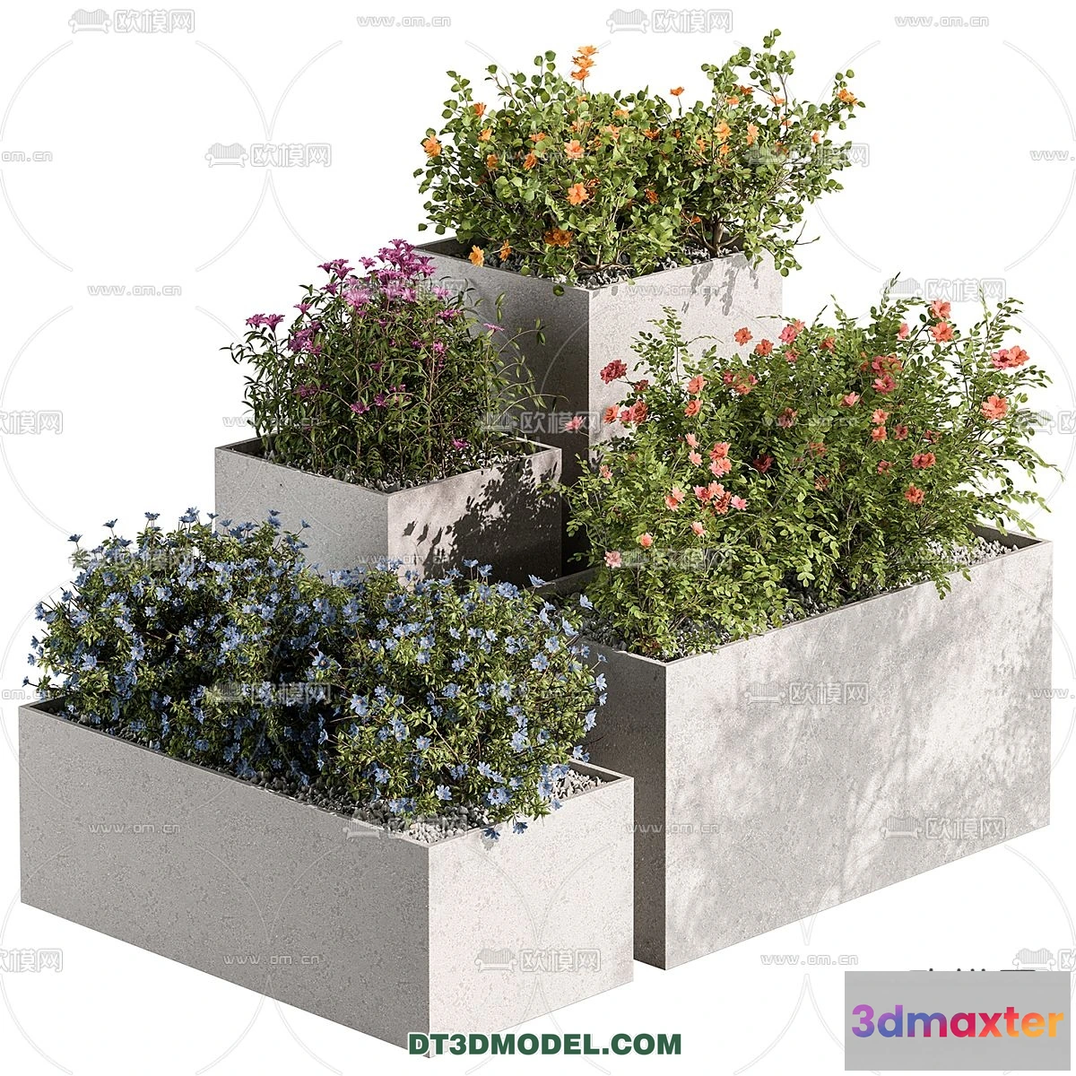 1238550 - PLANTS - BUSH - CORONA - 3D MODEL - 399