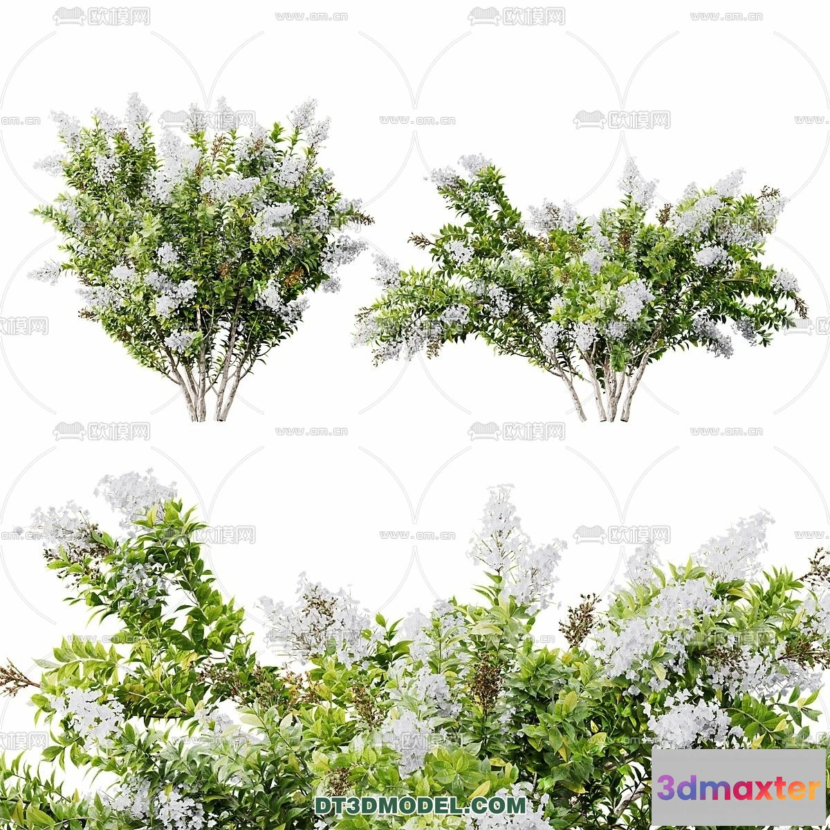 1238552 - PLANTS - BUSH - VRAY  CORONA - 3D MODEL - 400
