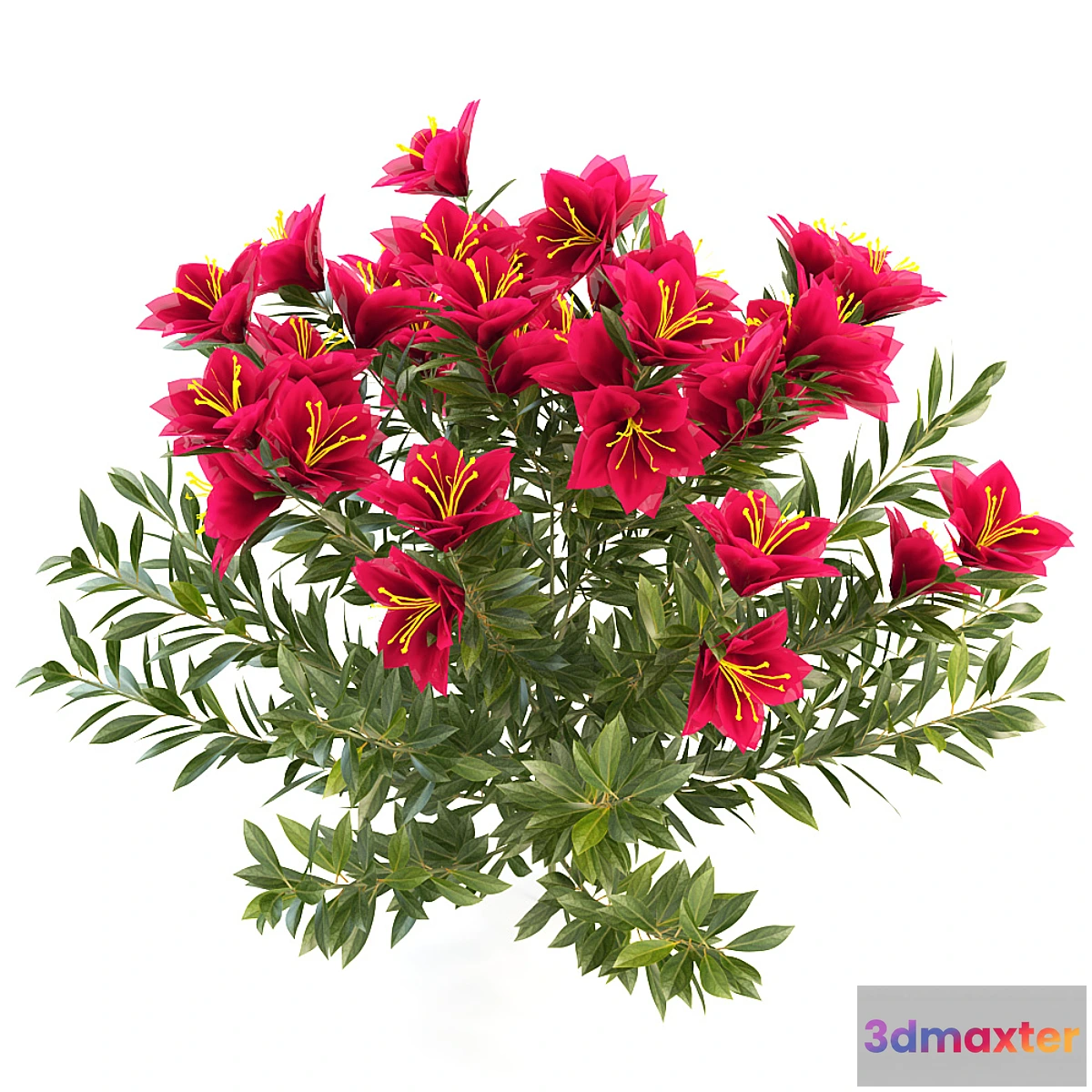 1273546 - azalea garden 3D Max