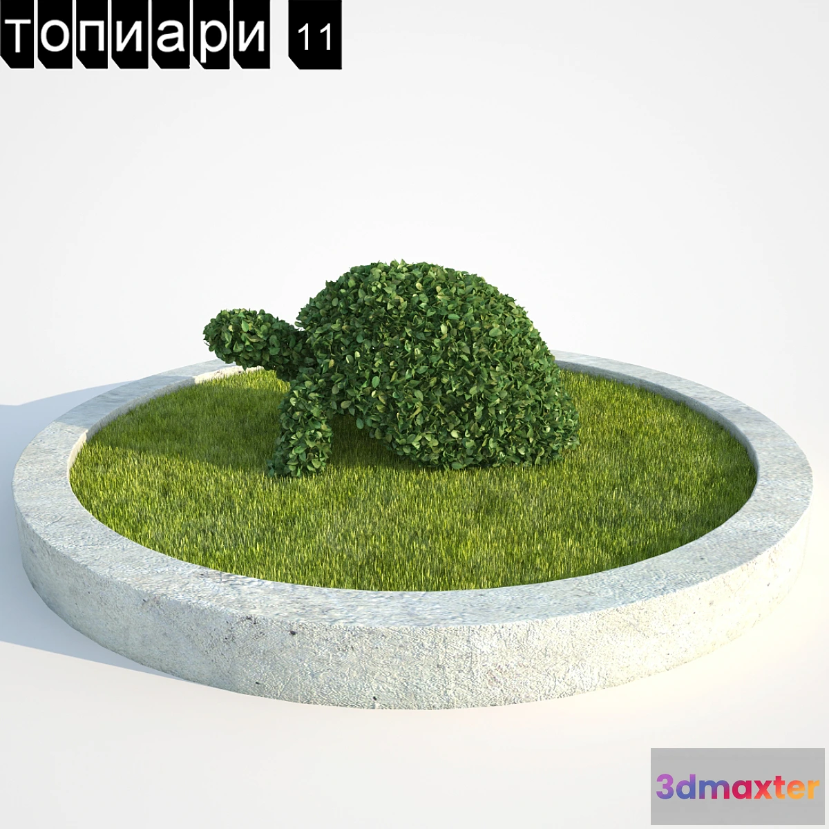 1291447 - Turtle Topiary 3D Max