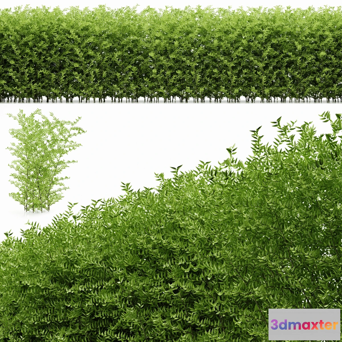 1301408 - plant 19 3D Max