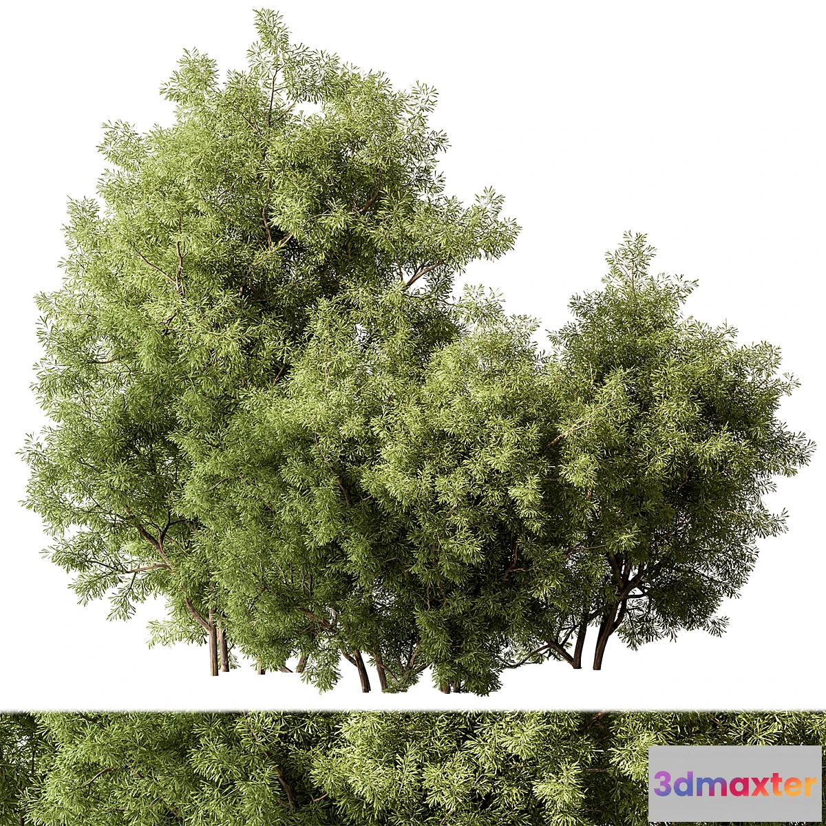 1304810 - Mixed Plant Bush Set 105 3D Max