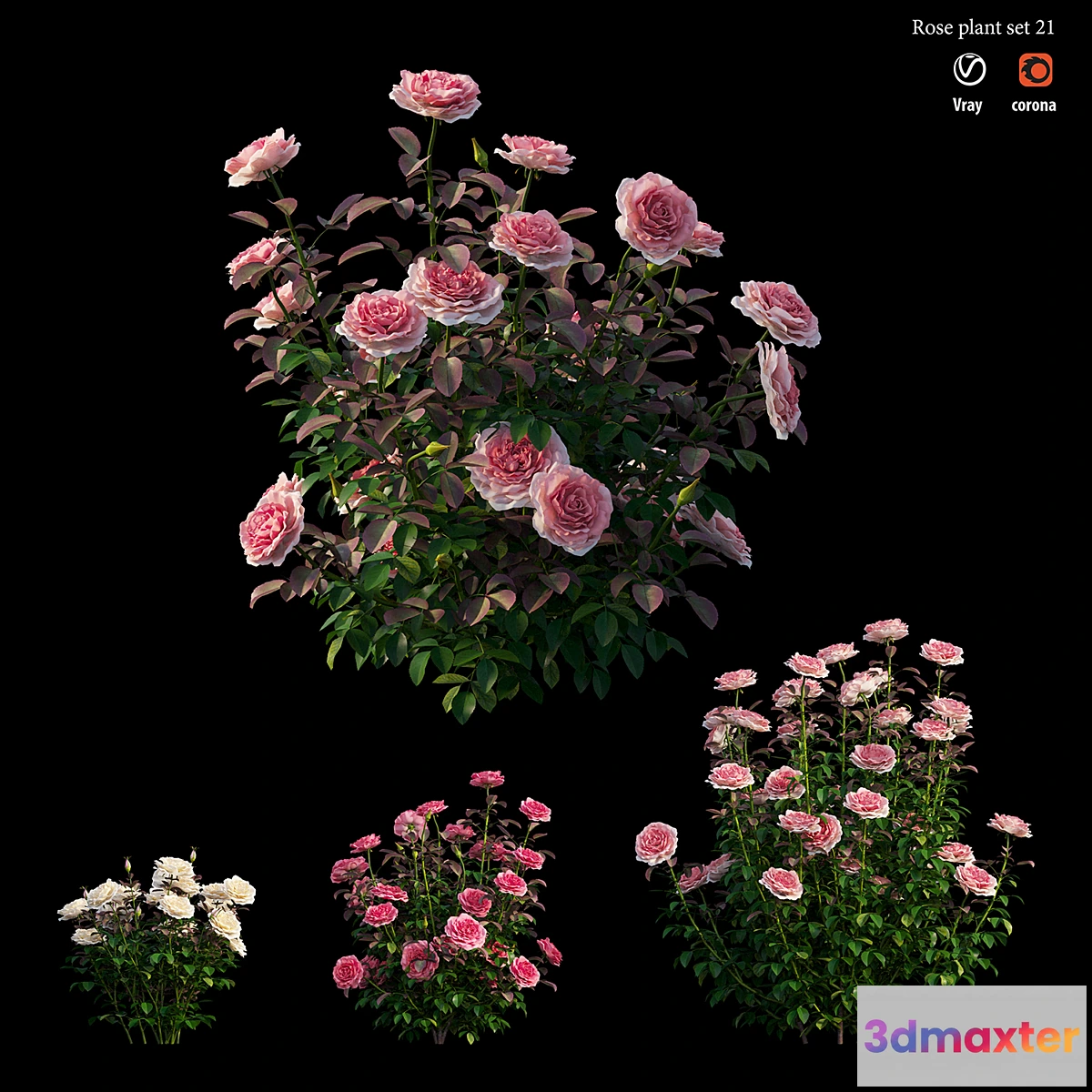 1317440 - Rose plant set 21 3D Max