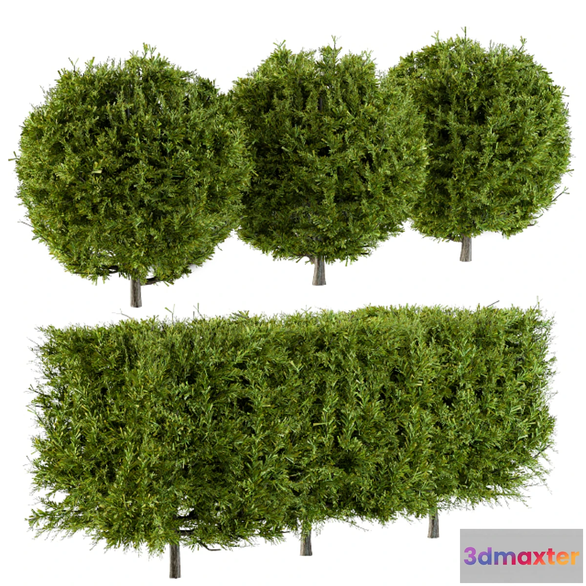 1325867 - Needle Bush Shape (Cube and Globe) 3D Max