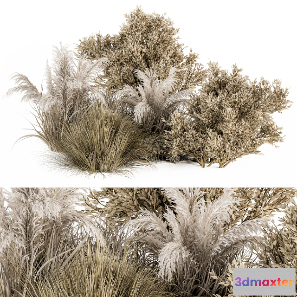 1350865 - Dried Wild Plants Bush - Bush Set 36 3D Max
