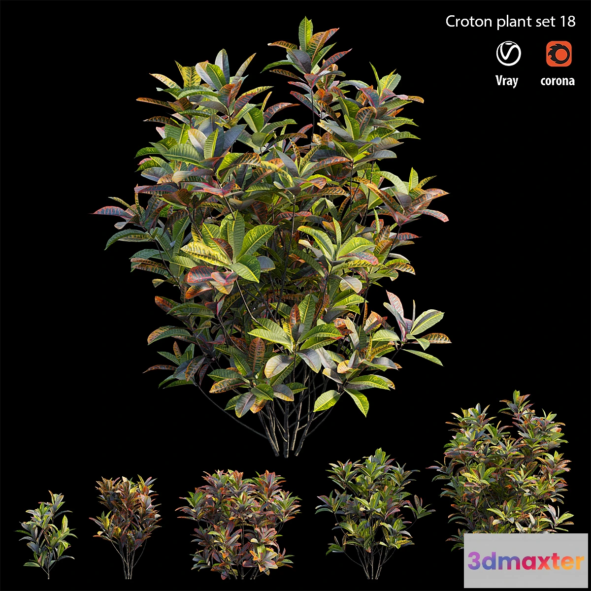 1398444 - Croton plant set 18 3D Max