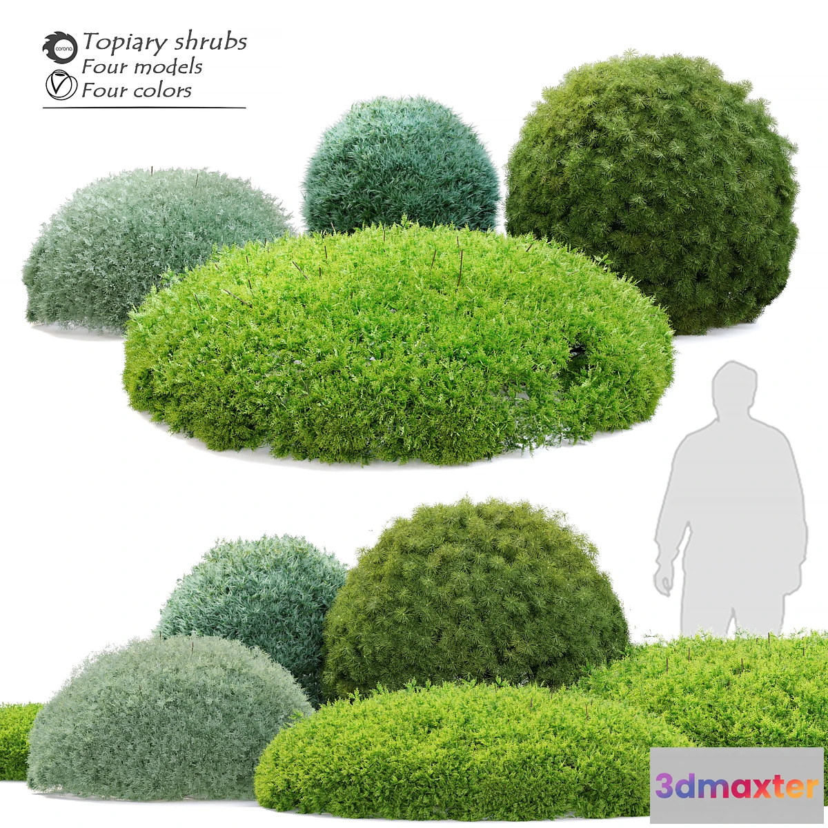 1407224 - Topiary shrubs 3D Max