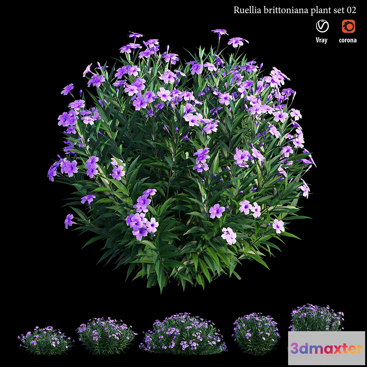 1431746 - Ruellia brittoniana plant set 02 3D Max