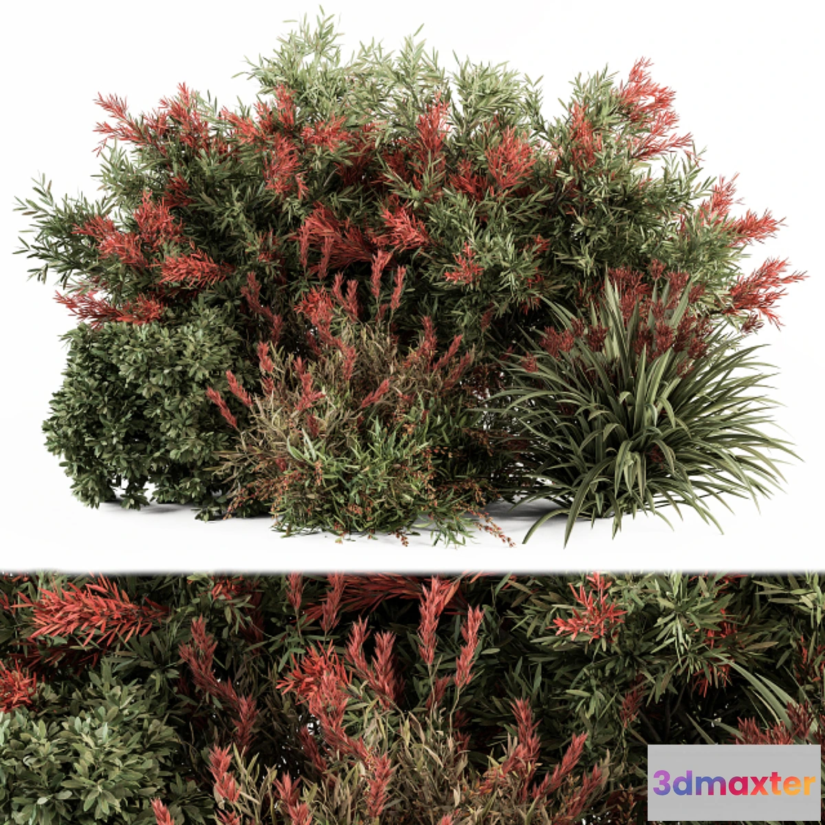 1438390 - Mixed Plant Bush Green and Red - Bush Set 51 3D Max