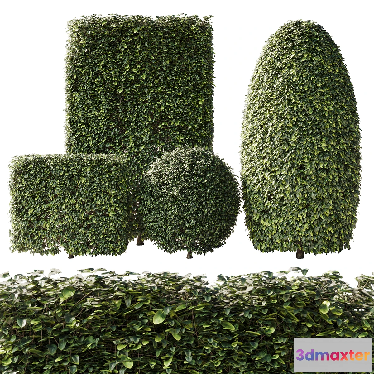 1455872 - Bush Collection Shrubs cube-oval-circle and rectangle 02 3D Max