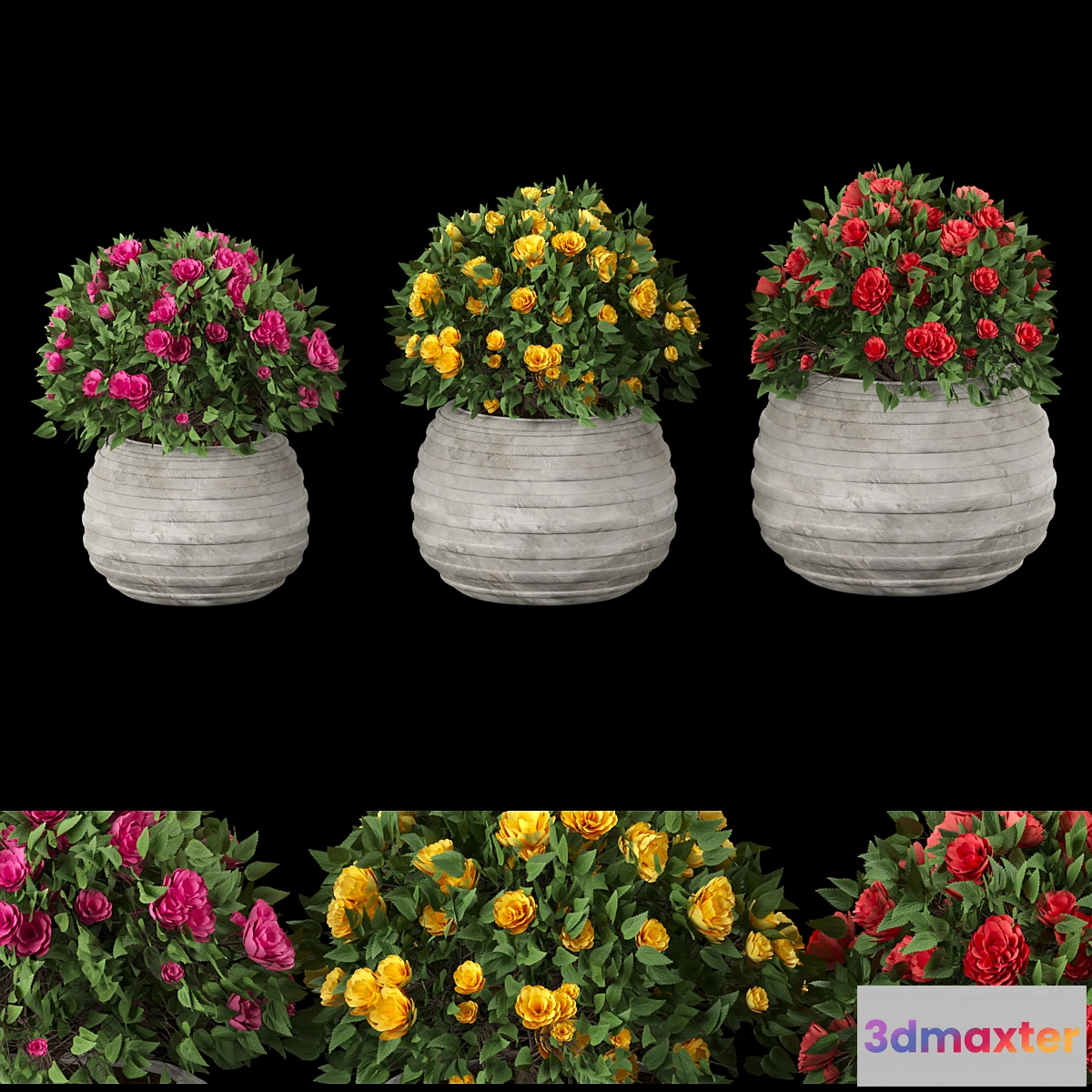 1459190 - collection flowering bush vol 16 3D Max