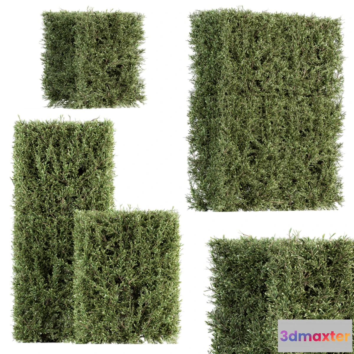 1462872 - Bush wall Needle - Bush Set 19 3D Max