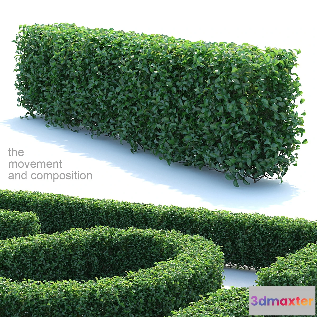 1468954 - Editable bush ordinary privacy 3D Max