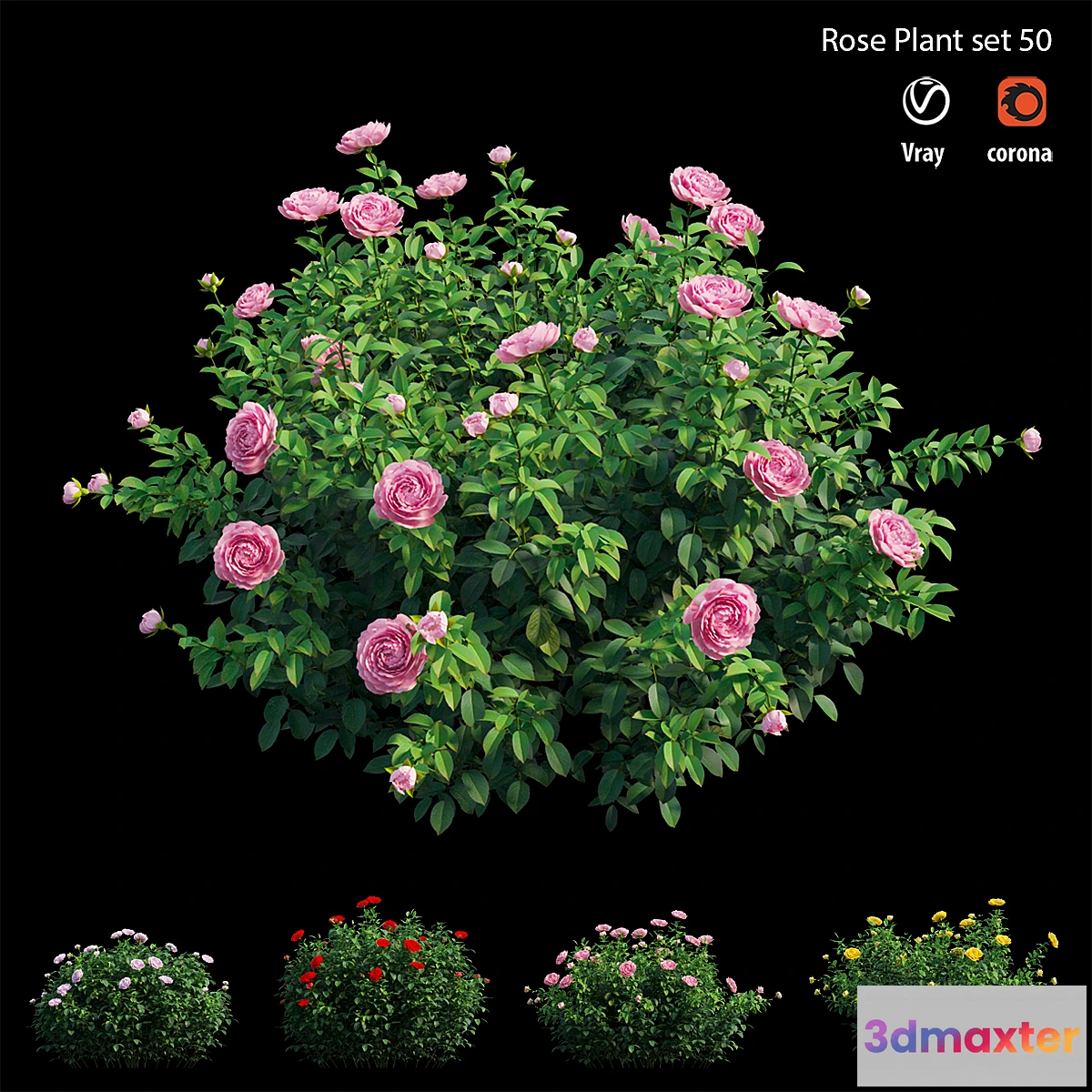 1471866 - Rose plant set 50 3D Max