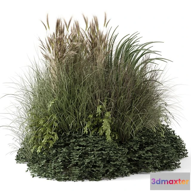 1538534 - Outdoor Plants Bush-Bush Set 1644 3D Max