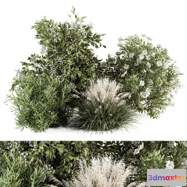 1540835 - Mixed Plant Bush - Bush Set 49 3D Max