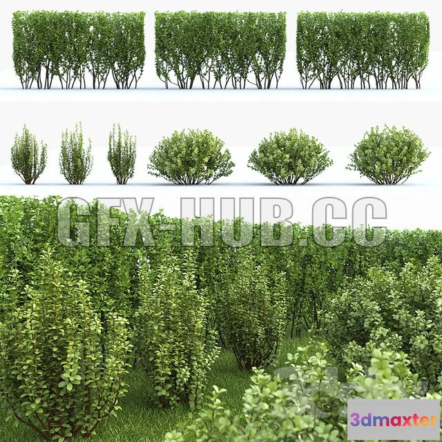 1546589 - Barbaris Tunberga set №2 3D Max