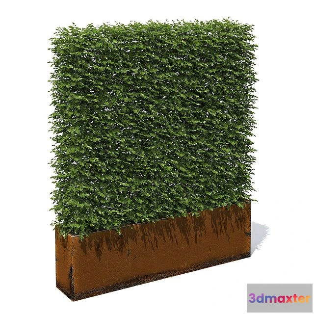 1559471 - High hedges 3D Max