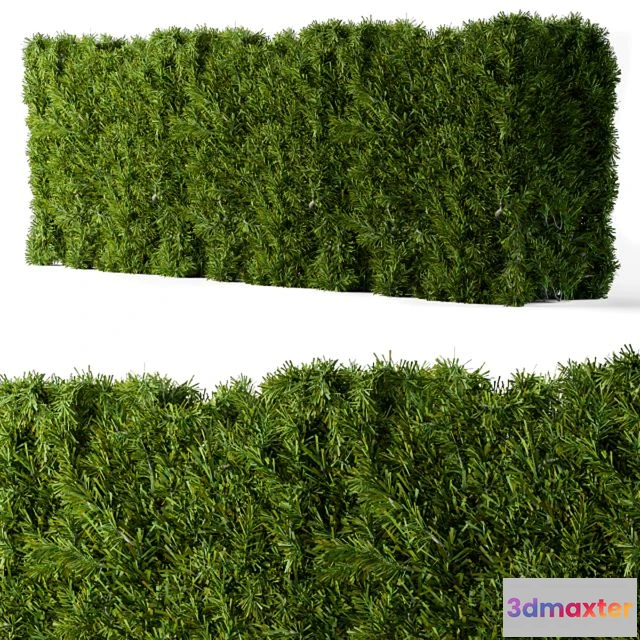 1562841 - Bush needle wall 3D Max
