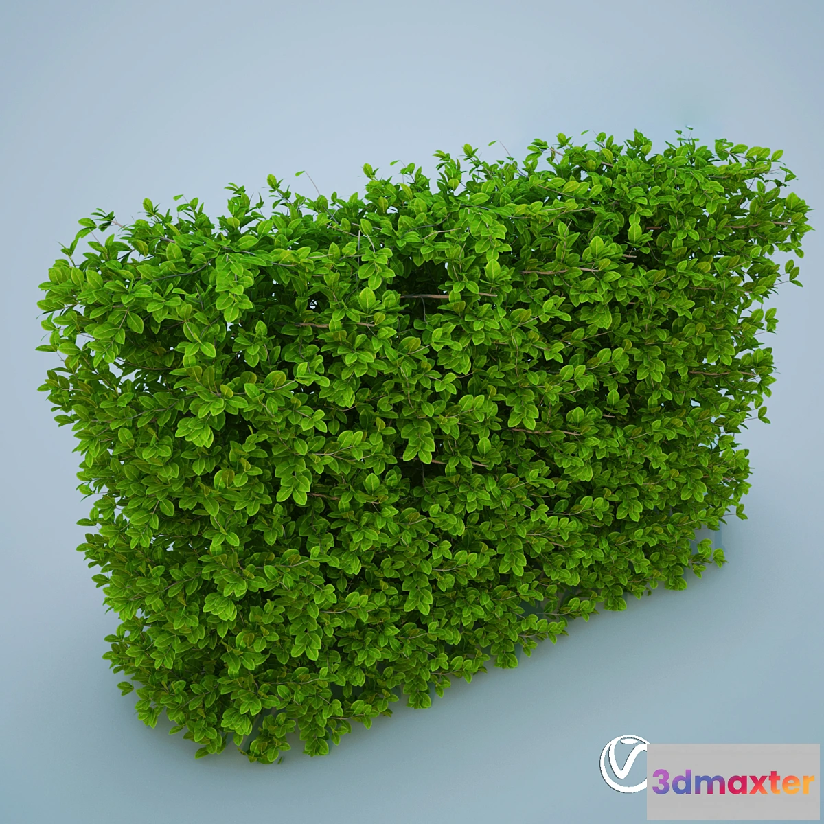 582002 - Bush - No.2