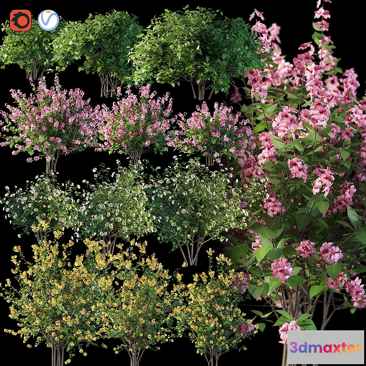 582560 - Set flowering shrubs 4