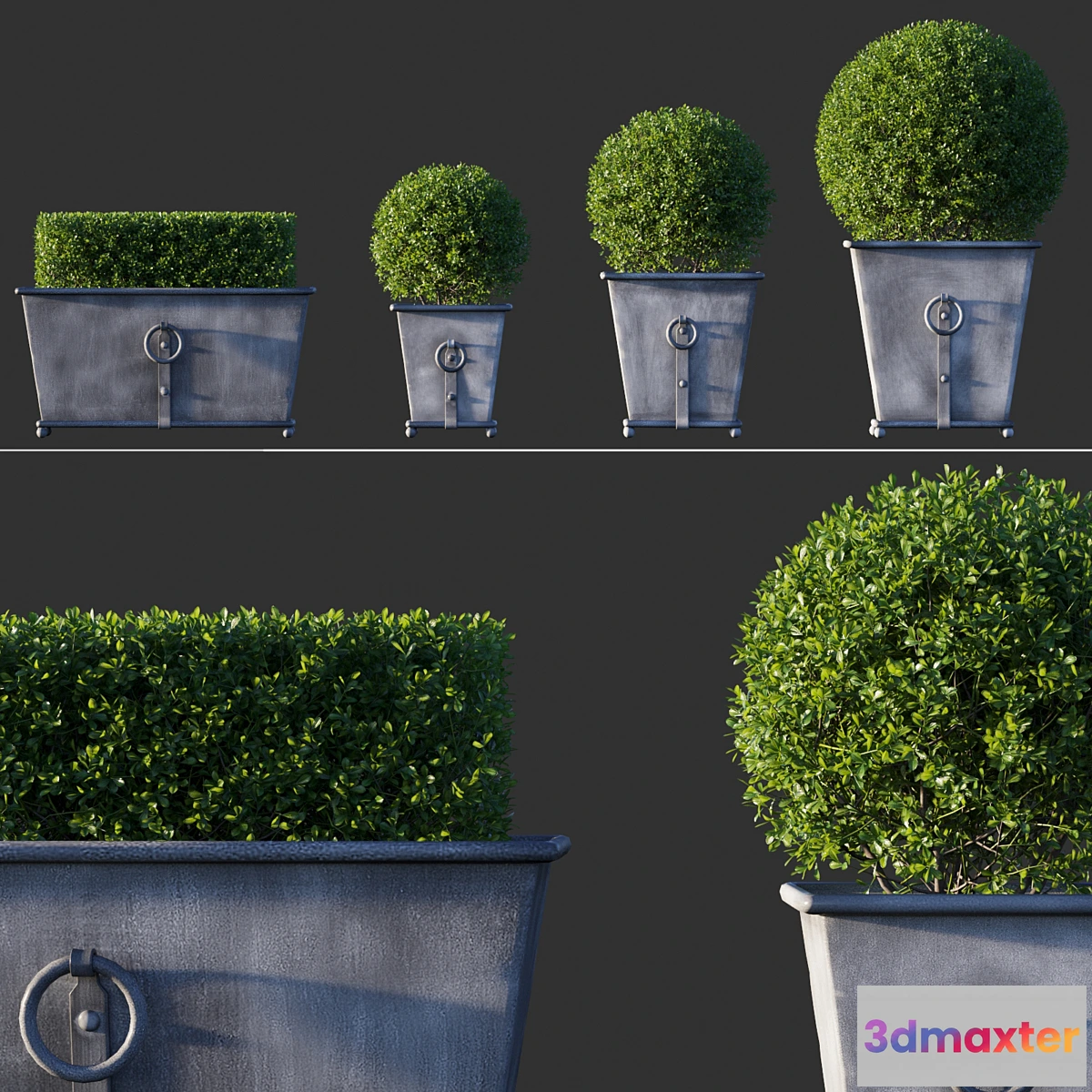 617989 - Boxwood RH Estate Zinc Ring Square