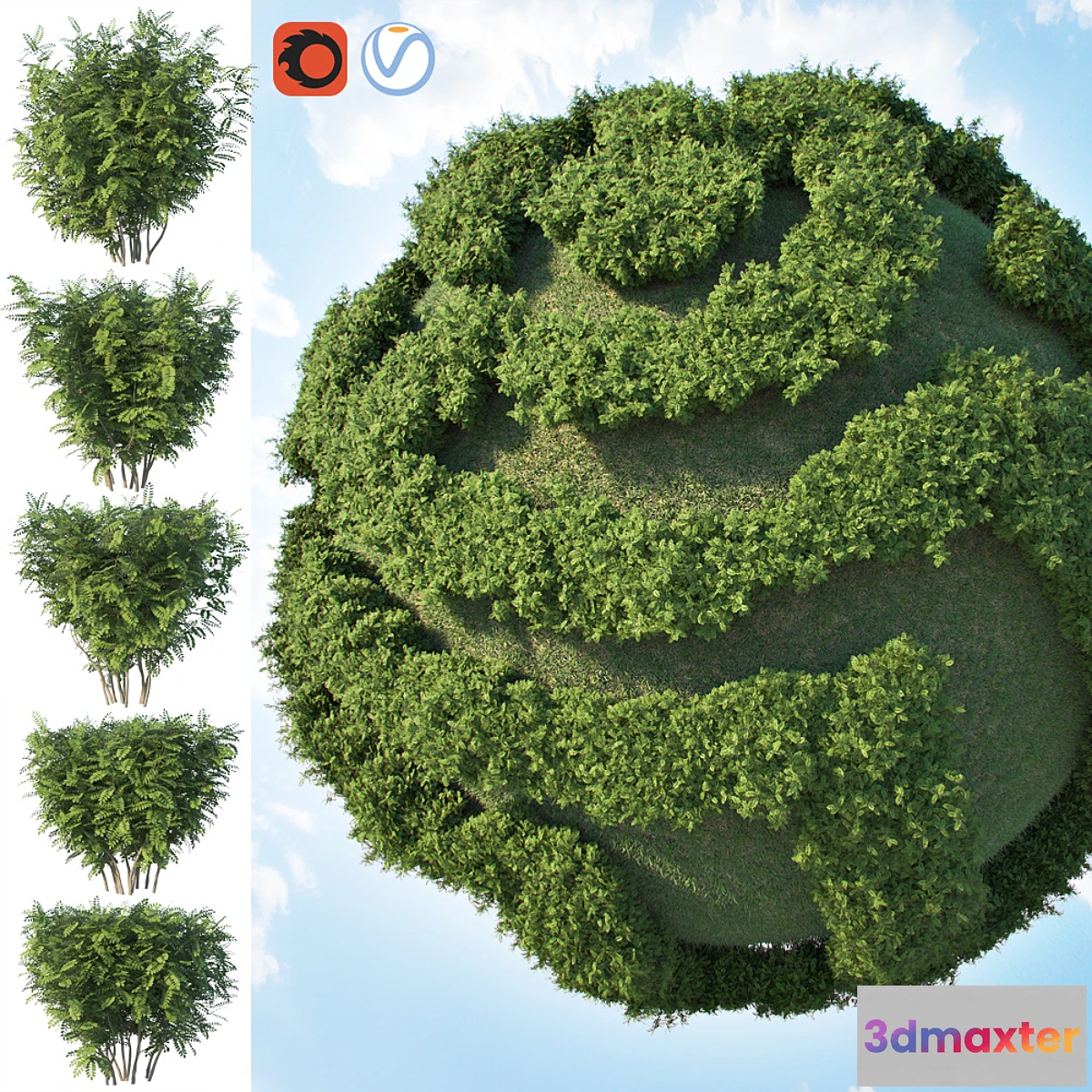 671403 - Set of 2 bushes