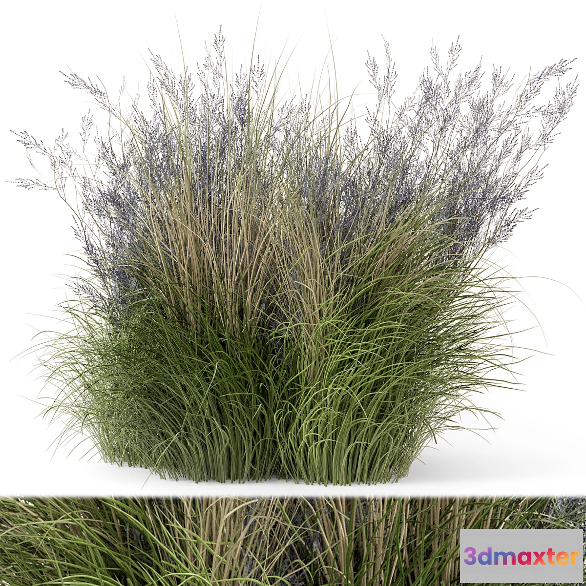 675965 - Outdoor Plants Bush-Bush Set 660