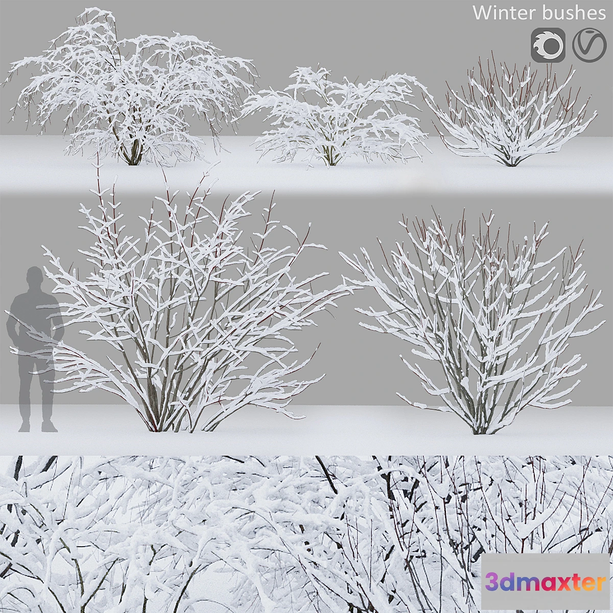 688726 - Winter bushes # 1