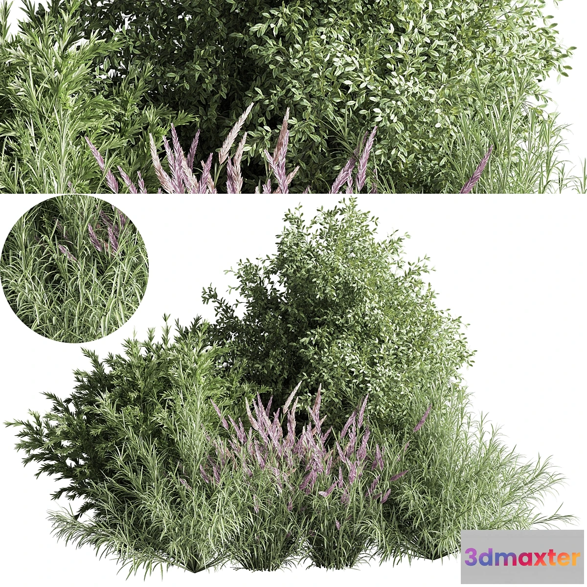 688730 - mixed_plant_and_bush_01