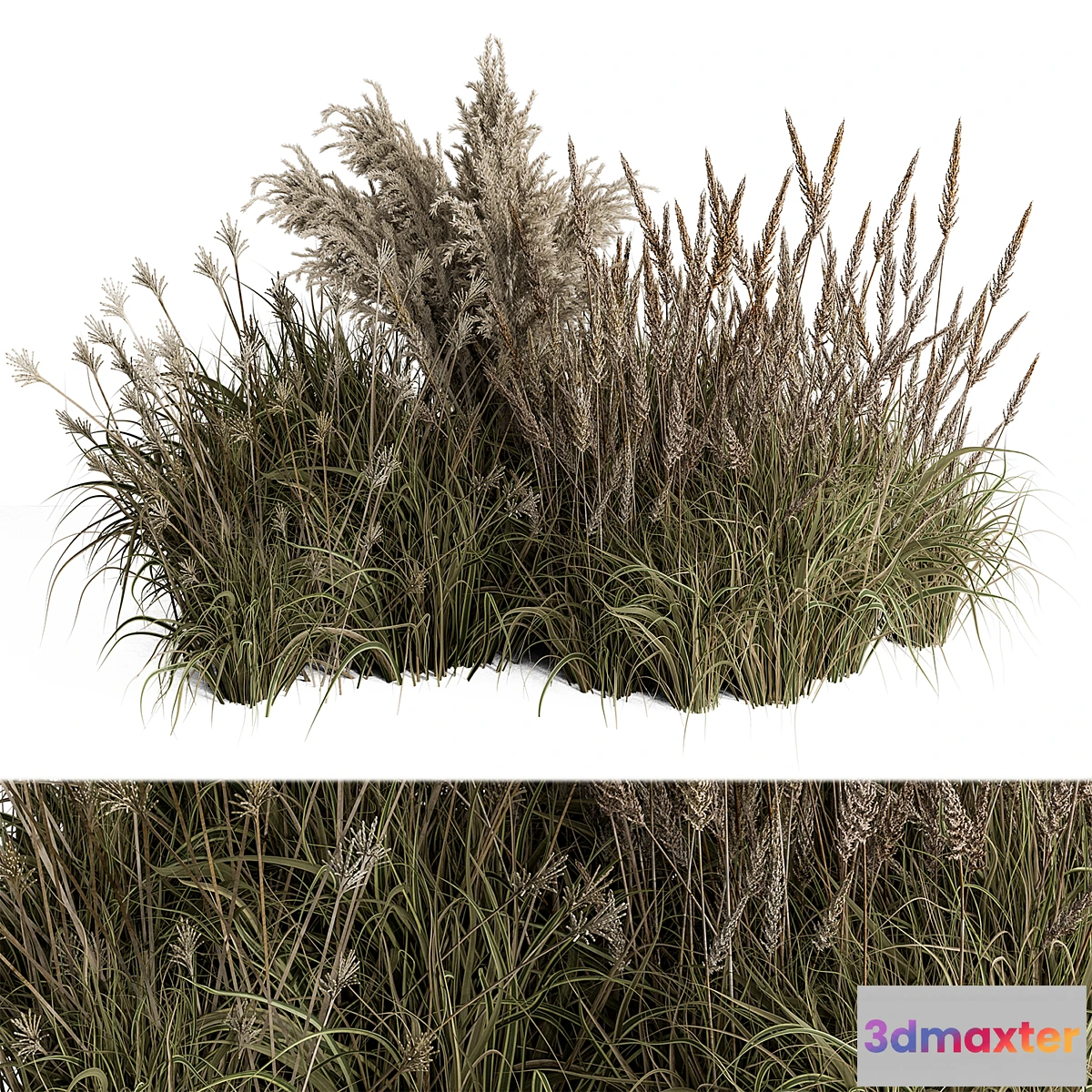 688752 - Pampas Plant Bush Set 96