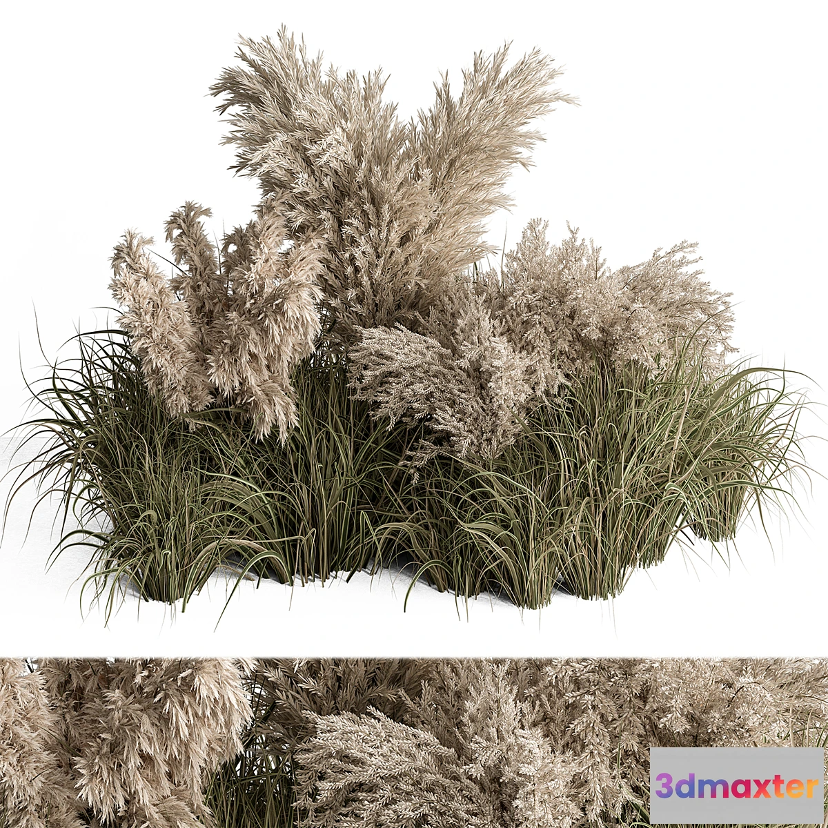 688758 - Mixed Pampas Plant Bush Set 95 - No.2