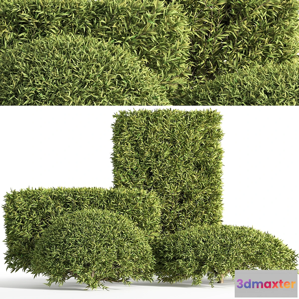 748677 - push06 - No.2