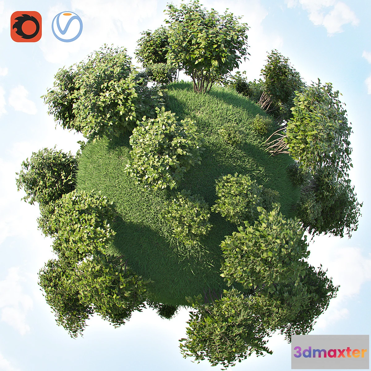 819090 - Set of bushes