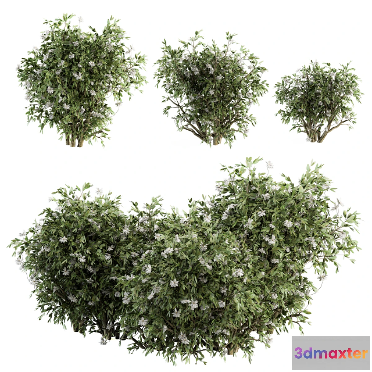 846473 - Flower Bush - Bush Set 15